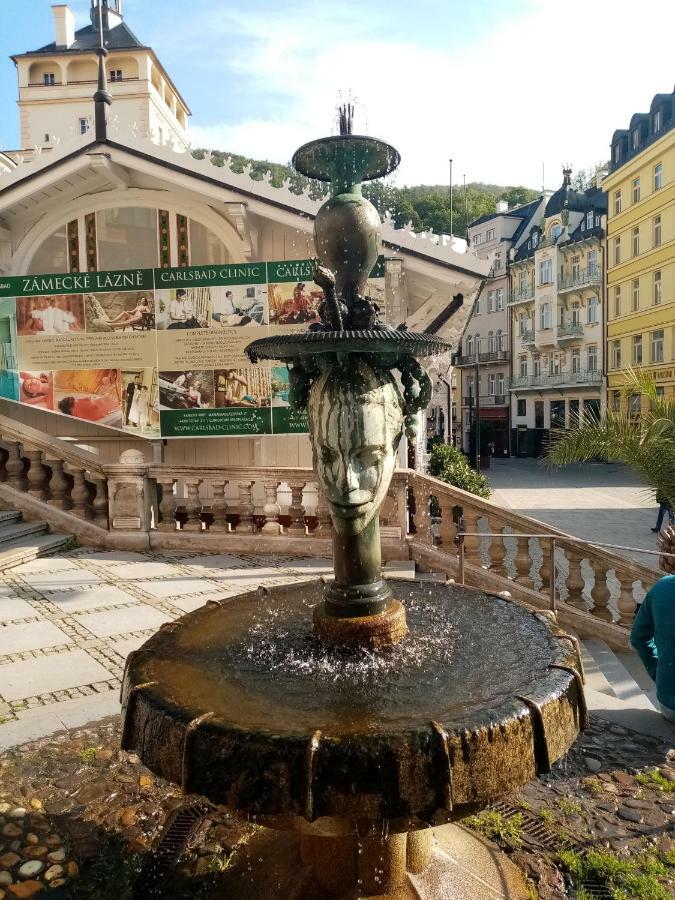 Appartamento Apartmán Orchidej u Vřídla Karlovy Vary Esterno foto