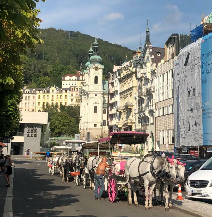 Appartamento Apartmán Orchidej u Vřídla Karlovy Vary Esterno foto